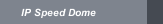 IP Speed Dome